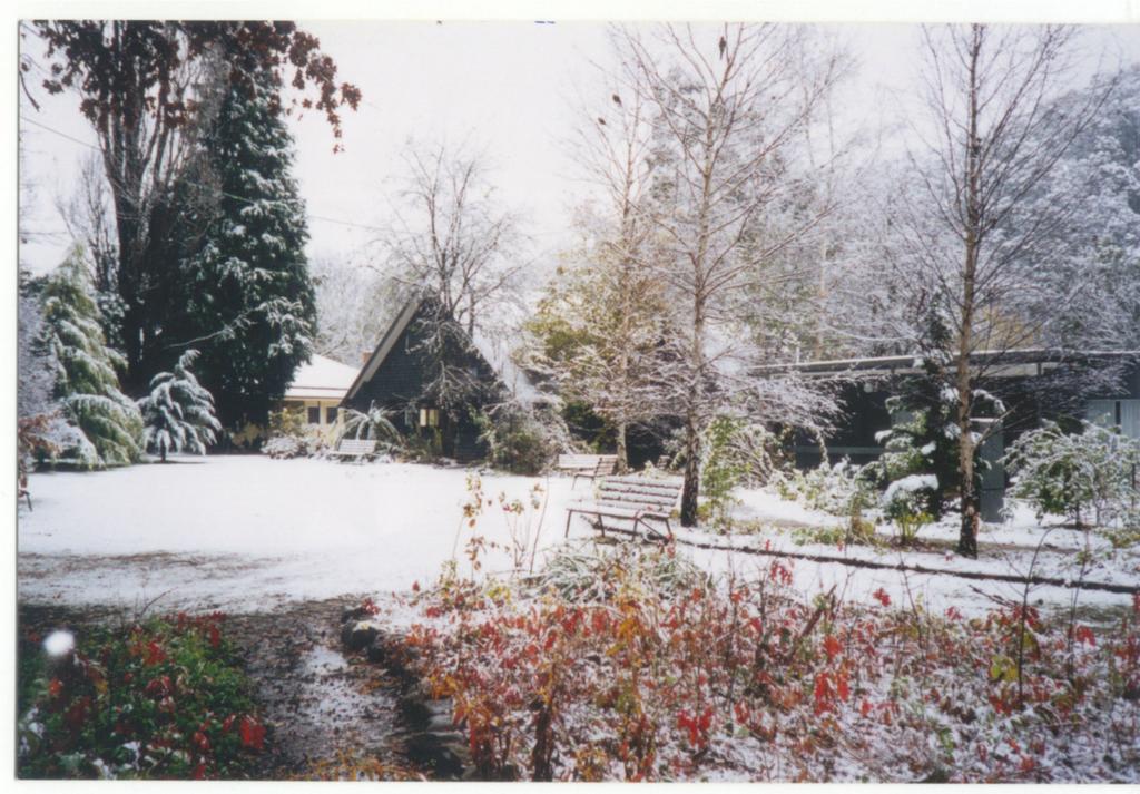 Mountain View Holiday Retreat แฮร์เรียตวิลล์ ภายนอก รูปภาพ